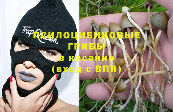 мяу мяу кристалл Баксан